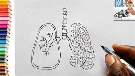lungsod drawing easy|25 Easy Lungs Drawing Ideas .
